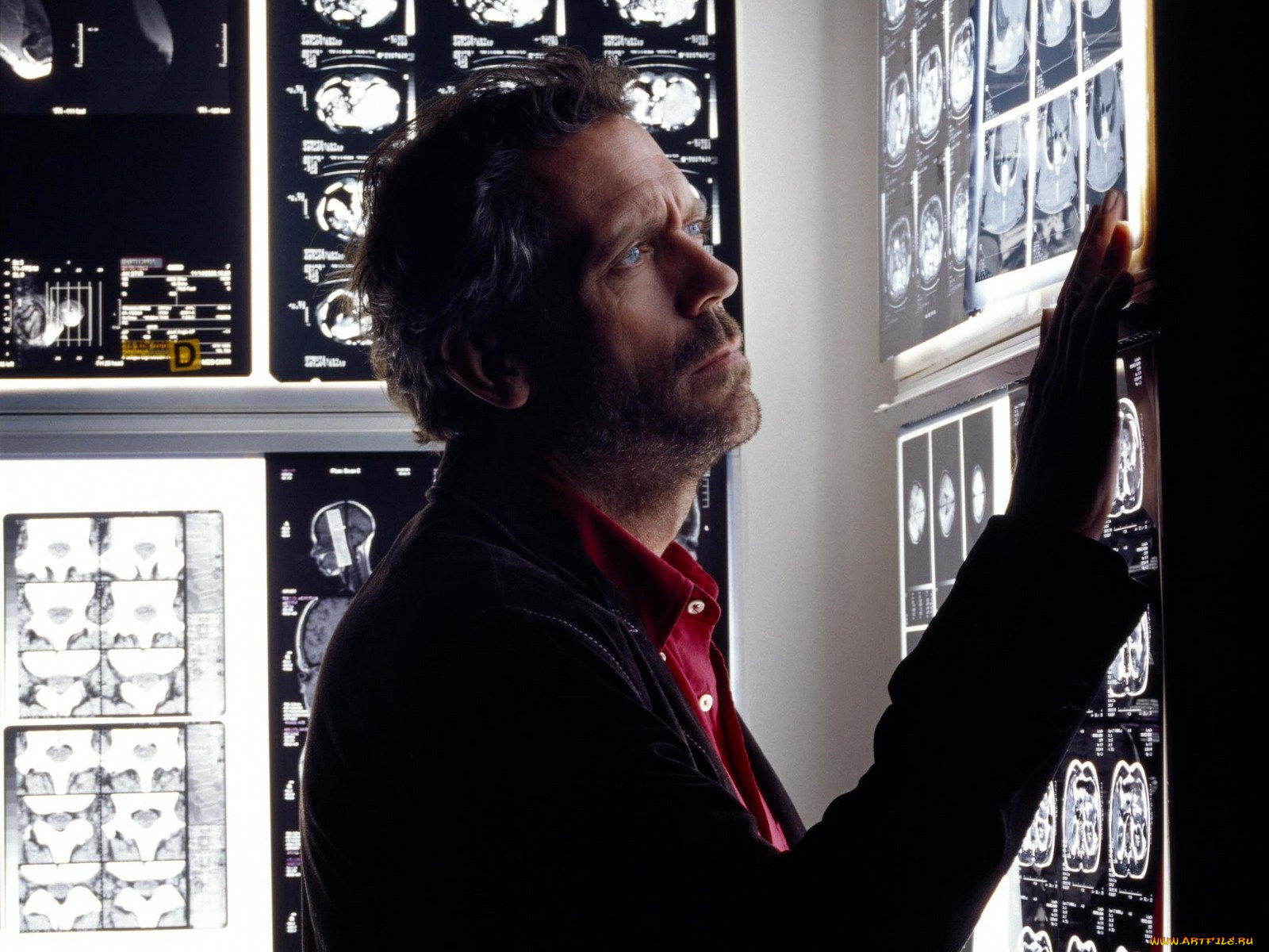 , , house